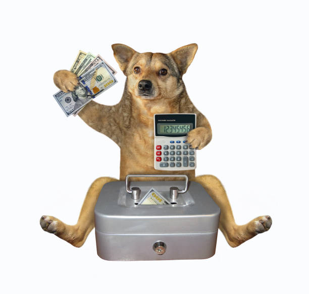 istock Dog sitting with metal safe 2 1207832283