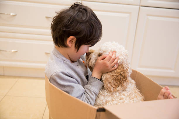 istock Little boy and Puppy in a box 1207836820