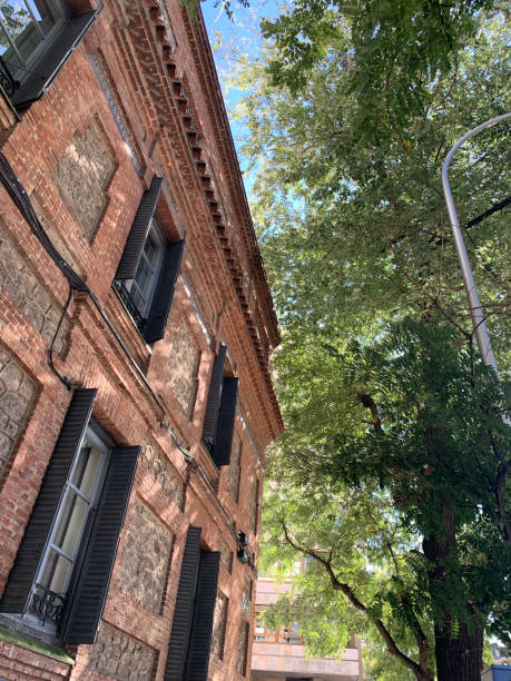 istock Sun through the trees in the city 1207839198