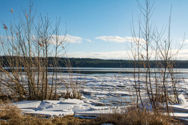 istock Broken ice lies on the shore 1207841759