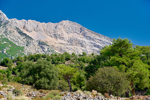 Mountains, pine forest, clean blue sky. Green trees growing on slope. Babadag mountain, Oludeniz, Turkey