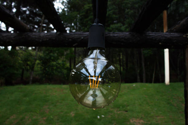 istock Carbon filament lamp in garden 1207841966