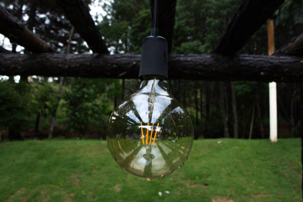 istock Carbon filament lamp in garden 1207842546