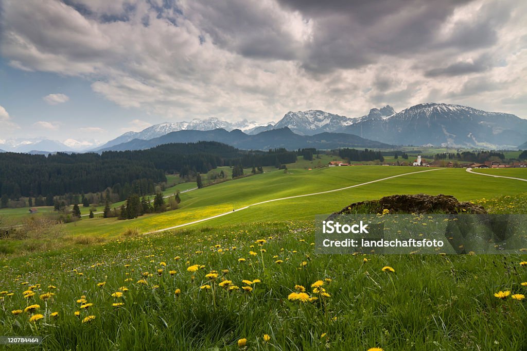 bavarian printemps Prairie - Photo de Agriculture libre de droits