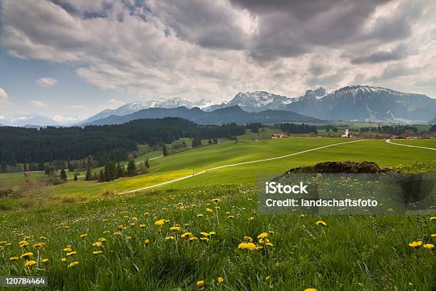 Photo libre de droit de Bavarian Printemps Prairie banque d'images et plus d'images libres de droit de Agriculture - Agriculture, Allemagne, Allgäu