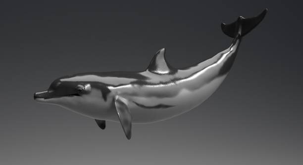 istock Dolphin animation of background, 3d render 1207856534