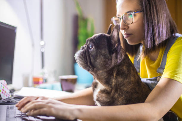 istock Young woman studying at home 1207857067