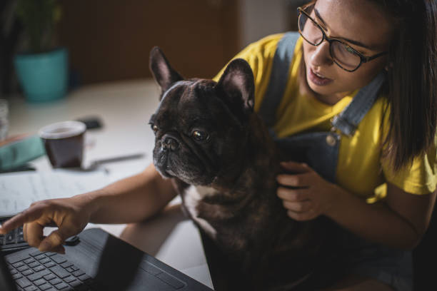 istock Young woman studying at home 1207857068