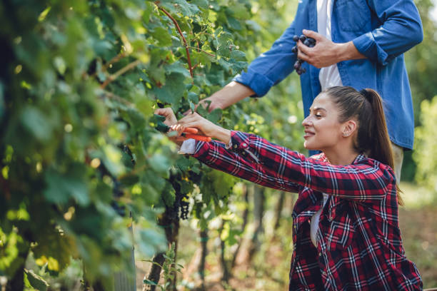 istock Young love in the countryside 1207857134