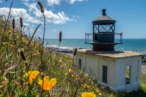 The Lost Coast Pictures | Download Free Images on Unsplash