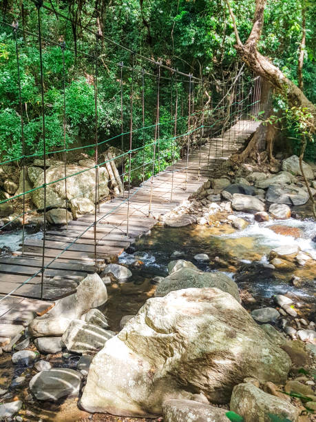 istock Suspension Bridge over a river in Ella in Sri Lanka 1207866239