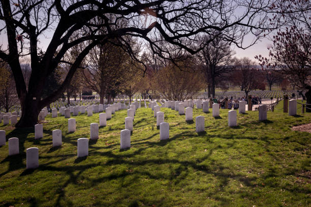 Gravestones at Arlington Cemetery Arlington, VA, USA. April 2, 2019. People walking around on paths during springtime at Arlington Cemetery. Memorial headstones in the lawn. Tree and it's branches casting shadows. arlington cemetery in spring stock pictures, royalty-free photos & images