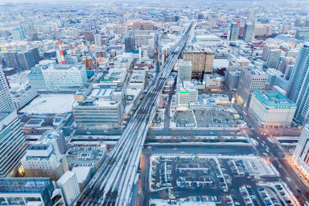 istock view of dowtown sapporo in Japan 1207871275