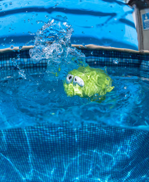 istock Fun in the swimming pool 1207871868