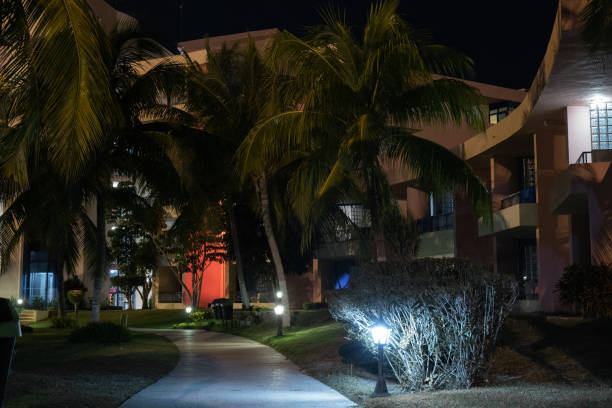 istock luxury caribbean resort at night, dawn time 1207874844