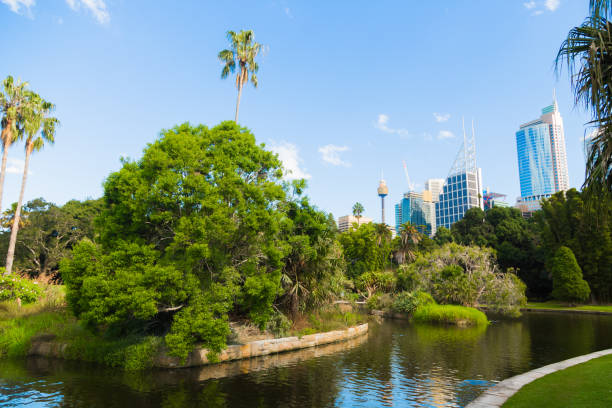 istock Park in Sydney Downtown 1207879908