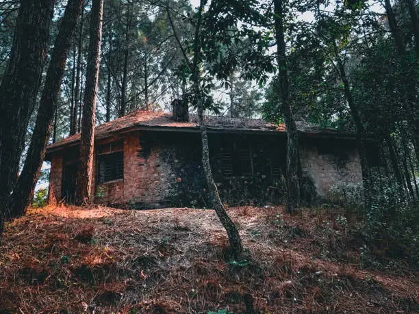 People Believe this old house made by the stone and cement build by the old king in Shreenagar Tansen Palpa middle of the pine woodland in 20th century.