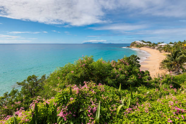 Grace Bay beach, Antigua and Barbuda Tropical Caribbean Landscape of Antigua island, Antigua and Barbuda - Grace Bay and Beach Grace Bay stock pictures, royalty-free photos & images