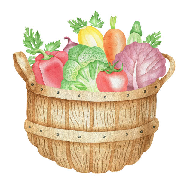 бушель с овощами.jpg - bushel broccoli freshness basket stock illustrations