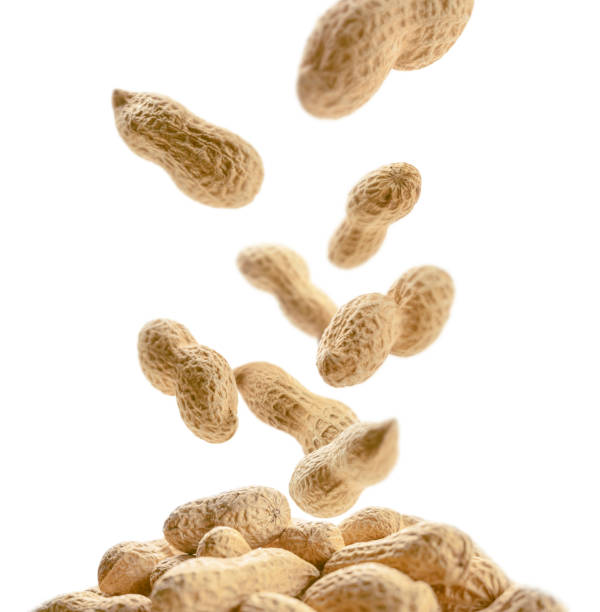 istock Peanuts in the shell levitate on a white background 1207895127