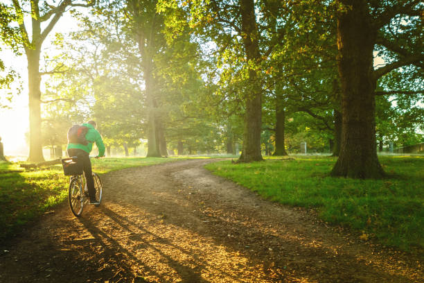 Young man cycling in Richmond Park, London Sustainable lifestyle richmond park stock pictures, royalty-free photos & images