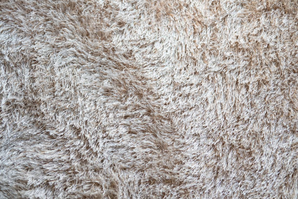 istock Close up fragment white wool carpet. Texture background, 1207896478