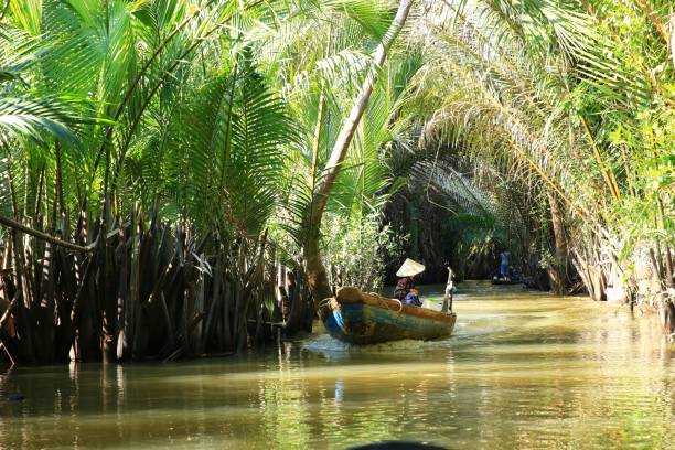 istock VD706 Vietnam Water Leisure 1207898428