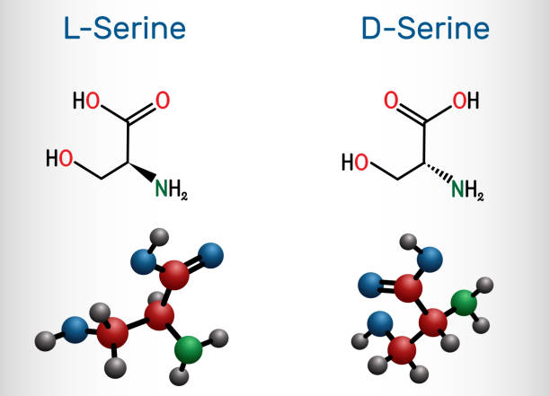 stereoisomers serine. cząsteczka aminokwasu d-serine i l-serin. strukturalna formuła chemiczna i model cząsteczki - s stock illustrations