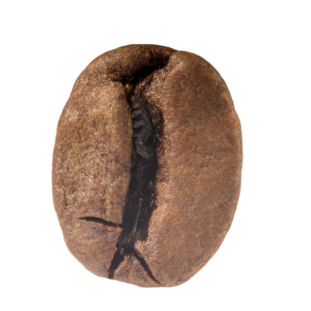 istock Coffee bean closeup isolated on white background 1207909748