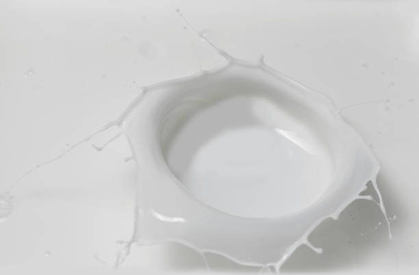 istock Fresh milk pouring making a crown splash in a milk pool. Top view, isolated on grey-white background 1207909845