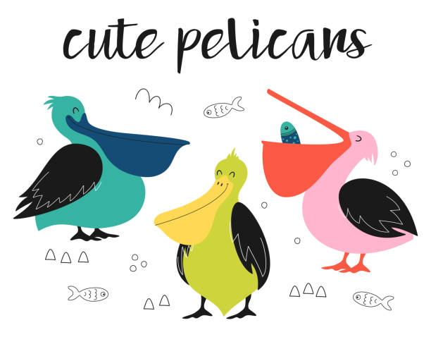 ilustrações, clipart, desenhos animados e ícones de conjunto com pelicanos de desenho animado bonito - pelicano