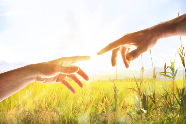 istock Two hands with fingers that almost touch in field 1207912191