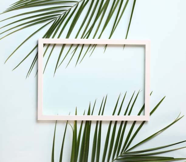 istock Nature composition  made of palm leaves on pastel blue background , copy space , top view 1207916507