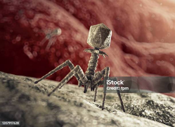 Bacteriophage Virus Attacking Bacterium Stock Photo - Download Image Now - Bacteriophage, Virus, Protein