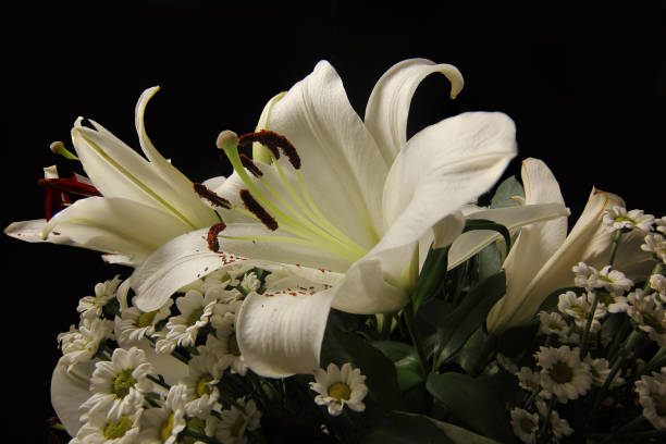 istock Bouquet: Lillies and Daisies 1207921092