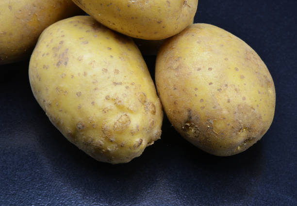 organic potato isolated on black background