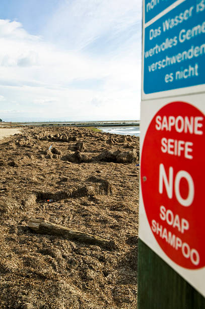 istock prohibition of pollution 120792325