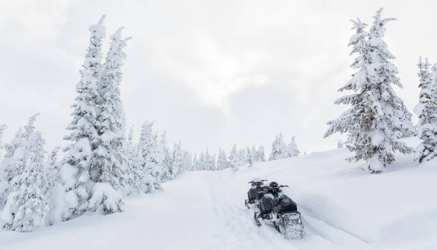 istock Snowmobiles in Gallatin National Forest 1207929803