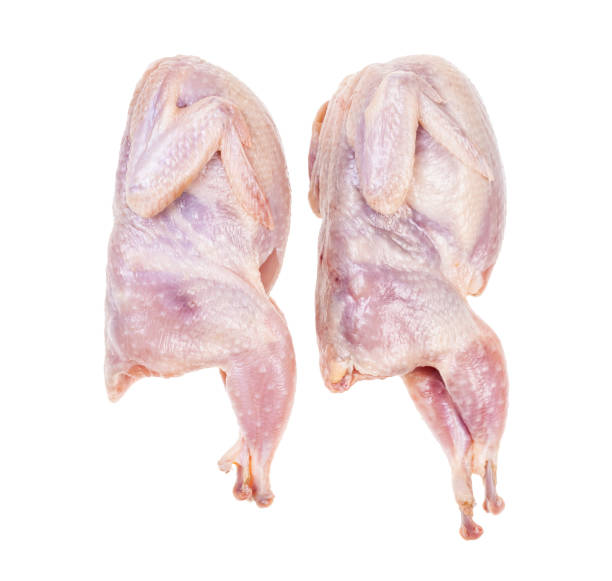pair of raw plucked quails isolated on white