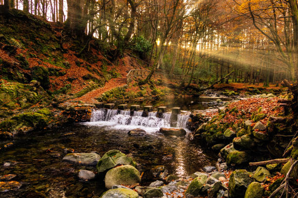 Cascade on river and footpath with sunbeams shining through branches in golden coloured autumn trees