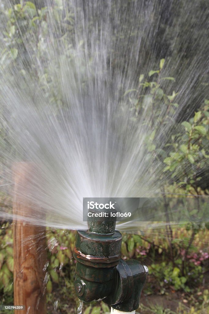 Lawn Sprinkler Details of a working lawn sprinkler head watering Color Image Stock Photo