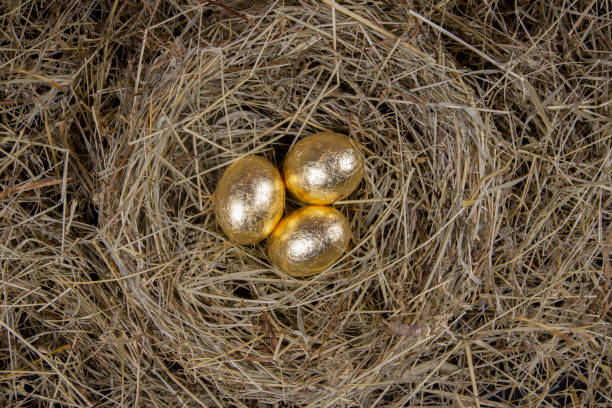 istock Golden eggs with in a nest top view. Concept easter. 1207943991
