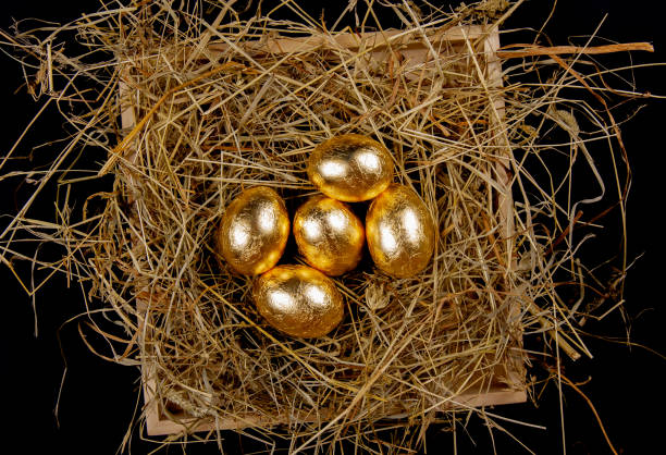 istock Golden eggs in a nest on black backgriound top view. Concept easter. 1207944007