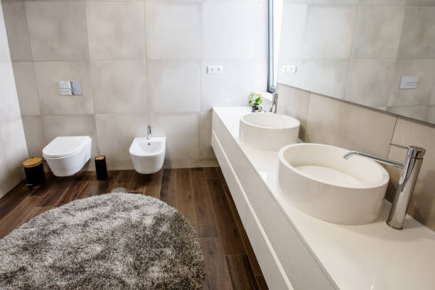 istock luxury bathroom interior with mirror, grey carpet and bidet 1207944073