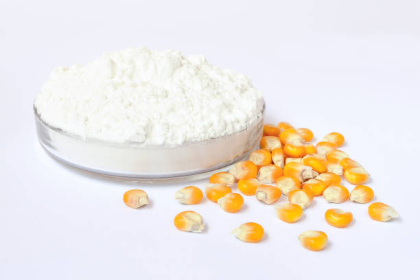 Petri dish with corn starch and yellow kernels on a white background. Closeup of tapioca starch or powder flour on a white background. Powder starch and corn grains on a white background. Petri dish with corn starch and yellow kernels on a white background. Closeup of tapioca starch or powder flour on a white background. starch grain stock pictures, royalty-free photos & images