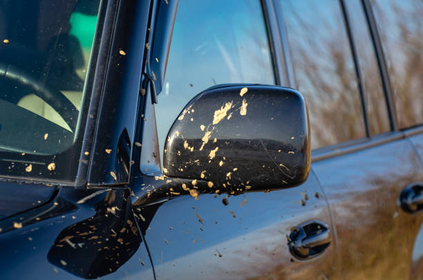 Autospiegel met groene onscherpe achtergrond