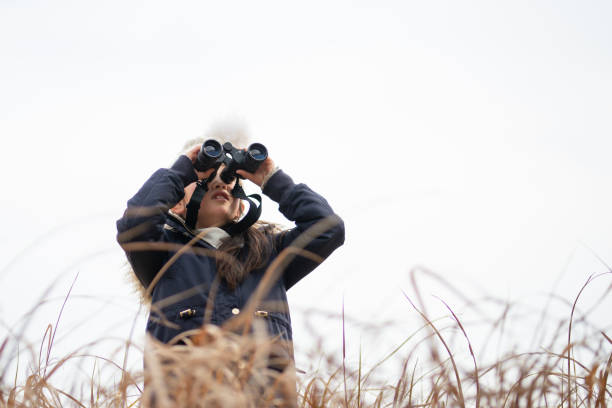 istock Girl looking far away with binoculars 1207946613