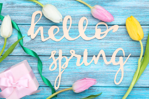 istock Tulip flowers with text Hello Spring and gift box on blue wooden table 1207946651