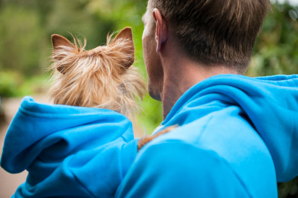 Dog and Owner in Matching Outfits Dog and owner in matching blue hoodies standing outdoors in bright green park background coordination photos stock pictures, royalty-free photos & images