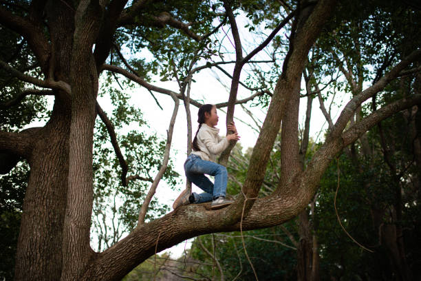 istock Girl climbing a tree in spring forest 1207946753